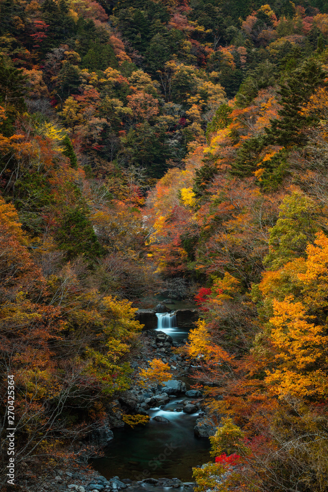 岐阜県 付知峡 紅葉 Stock Photo Adobe Stock