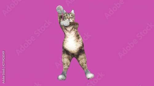 A cute brown pussycat dancing alone in a modern style in empty colour space. Comic tomcat waving paws and tail in an energetic summer mood. Cool and the best moves in the stylish of the 80s and 90s photo