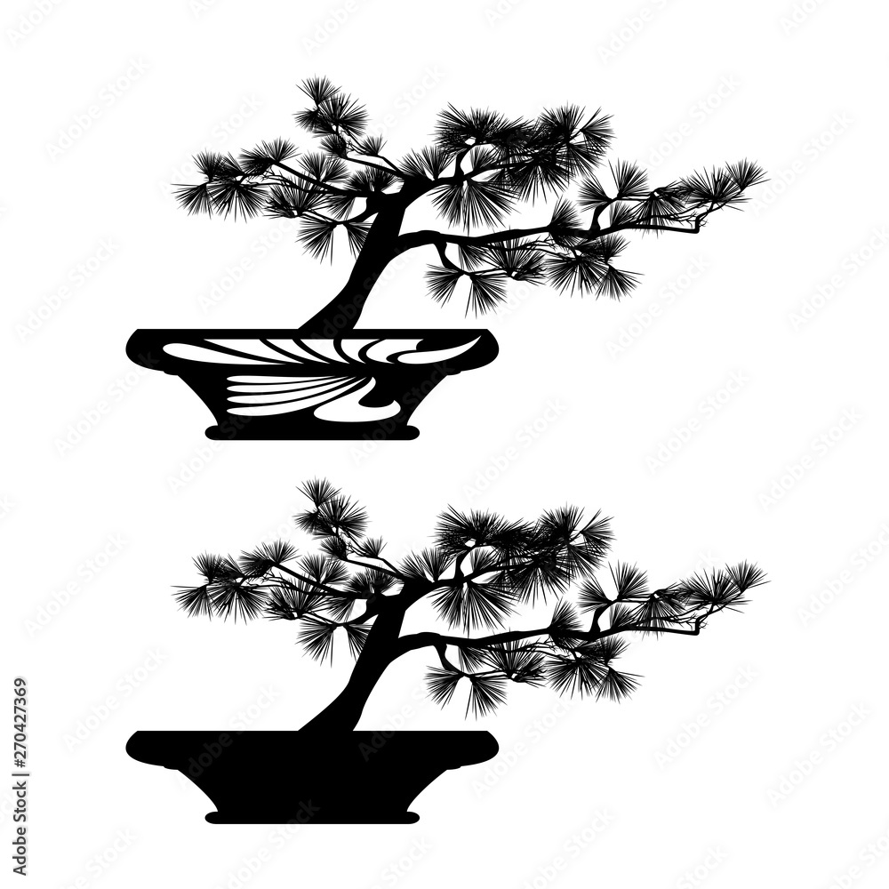 miniature bonsai pine tree in traditional pot black and white vector