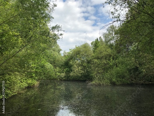 L   tang sauvage du parc de la H  ronni  re    Watermael-Boitsfort 