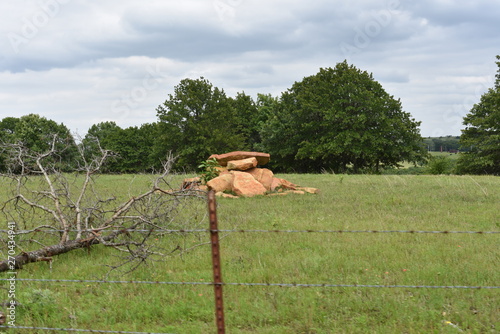 Rocks in Field photo