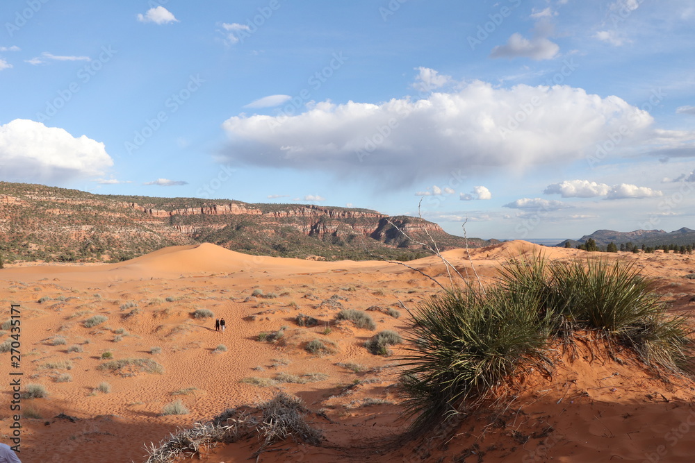 Coral Pink Sand Dunes State Park, Utah , Road-trip Coral Pink Sand Dunes State Park, Utah , Road-trip