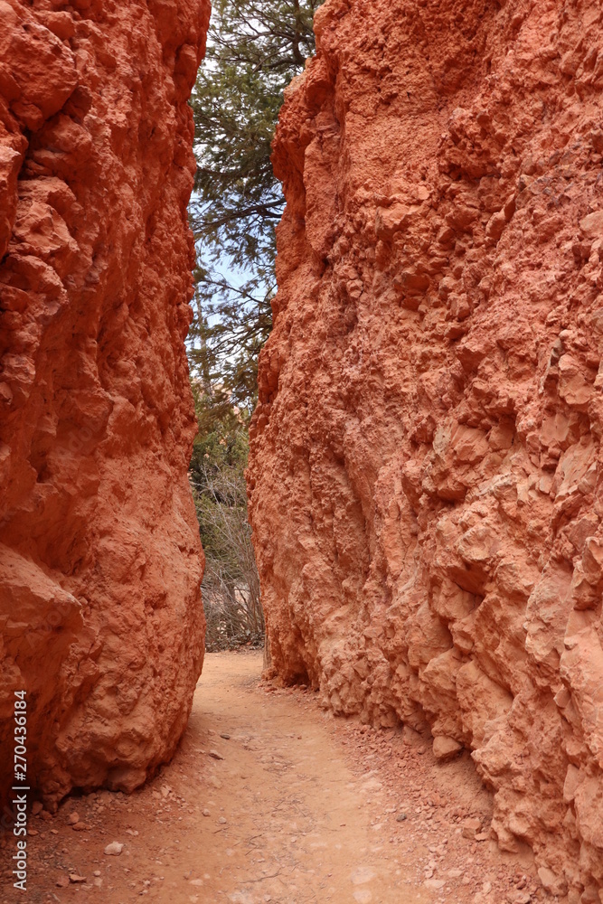 Fototapeta premium Bryce Canyon National Park