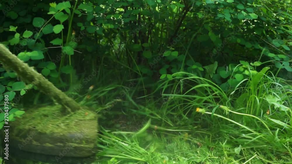 gardening.trimmer mows green grass.Mowing the grass from garden with electric tool.close-up gardening.trimmer mows green grass.Mowing the grass from garden with electric tool.close-up