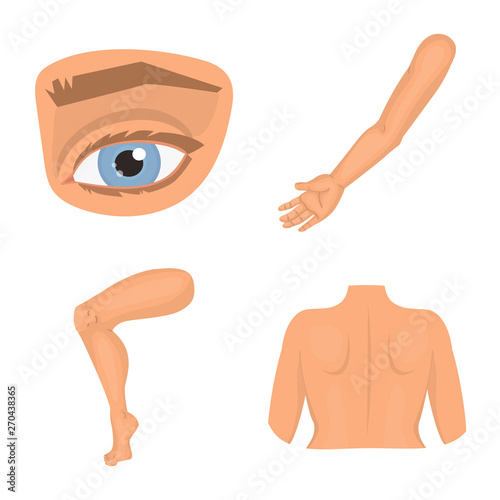 Isolated object of body and part symbol. Collection of body and anatomy stock vector illustration.