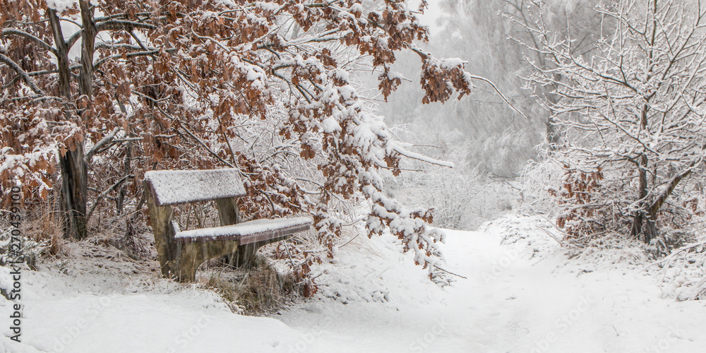 a bench at a hiking trail in Snowstorm in wintry forest landscape