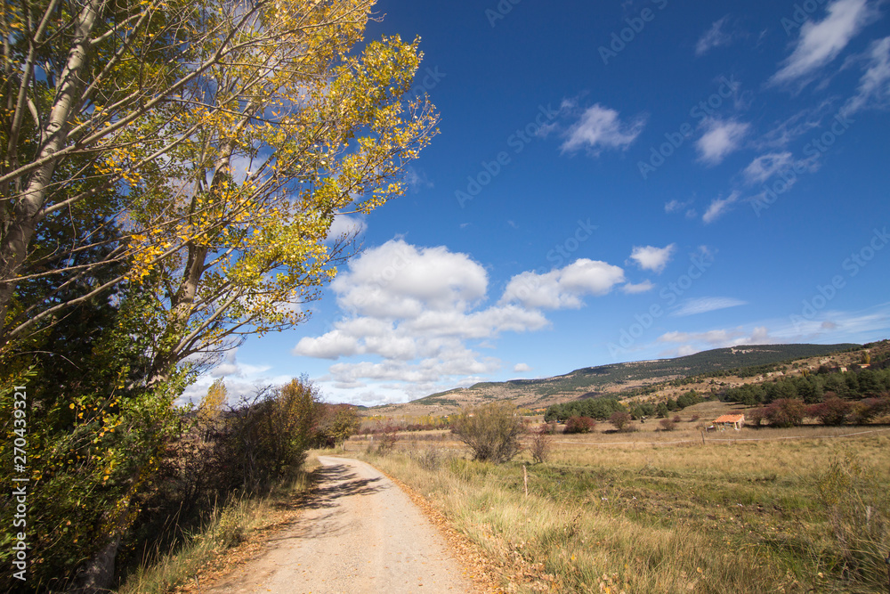 Autumn country Alcala de la Selva Teruel Aragon Spain