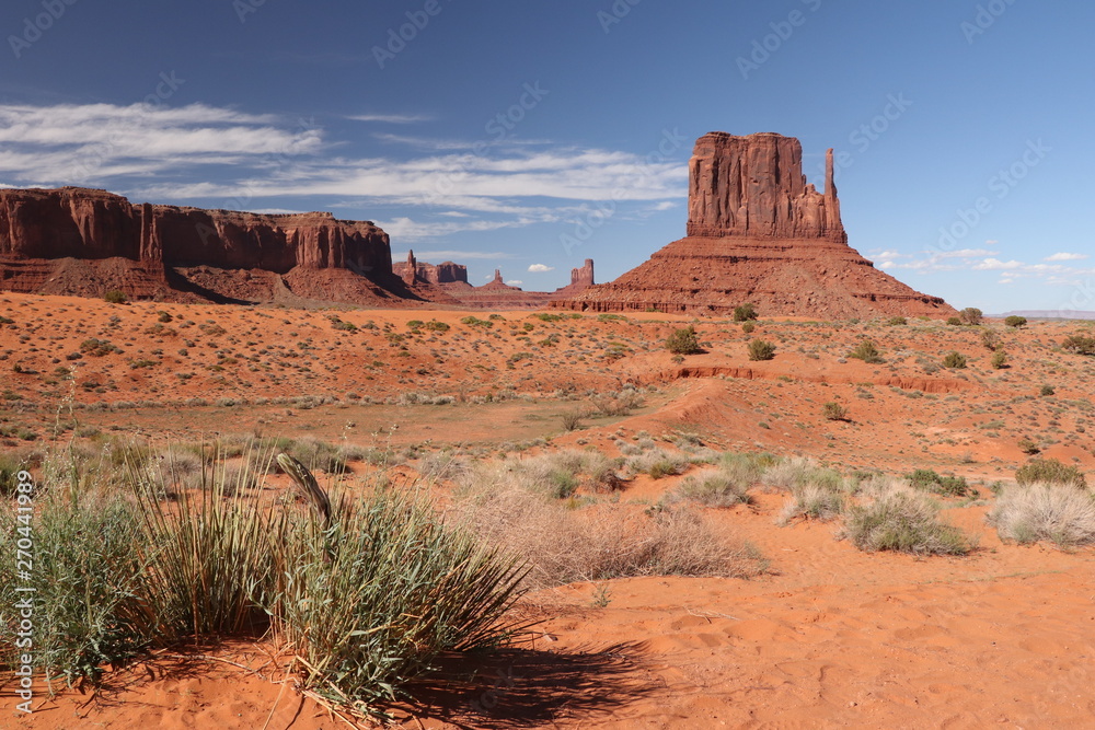 Fototapeta premium paysage monument valley,état unis ,arizona