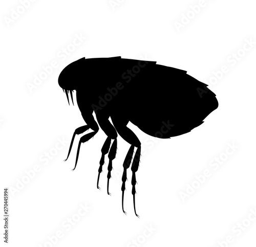 flea silhouette. Pest control service. Pest insect and bug spray symbol photo