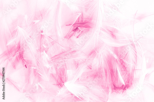 Beautiful abstract colorful white and pink light feathers wall pattern textures background and wallpaper art