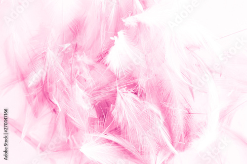 Beautiful abstract colorful white and pink light feathers wall pattern textures background and wallpaper art