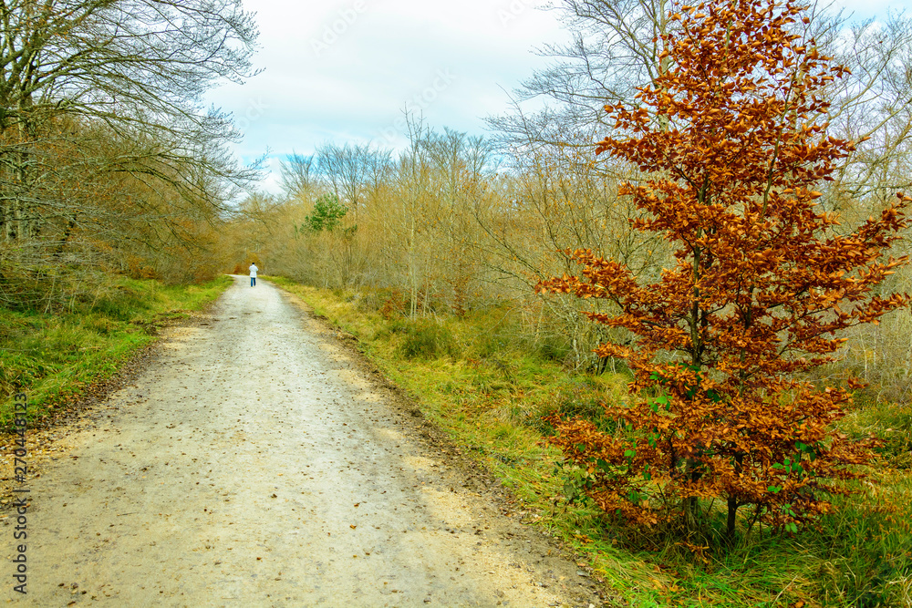 Caminos Caminos