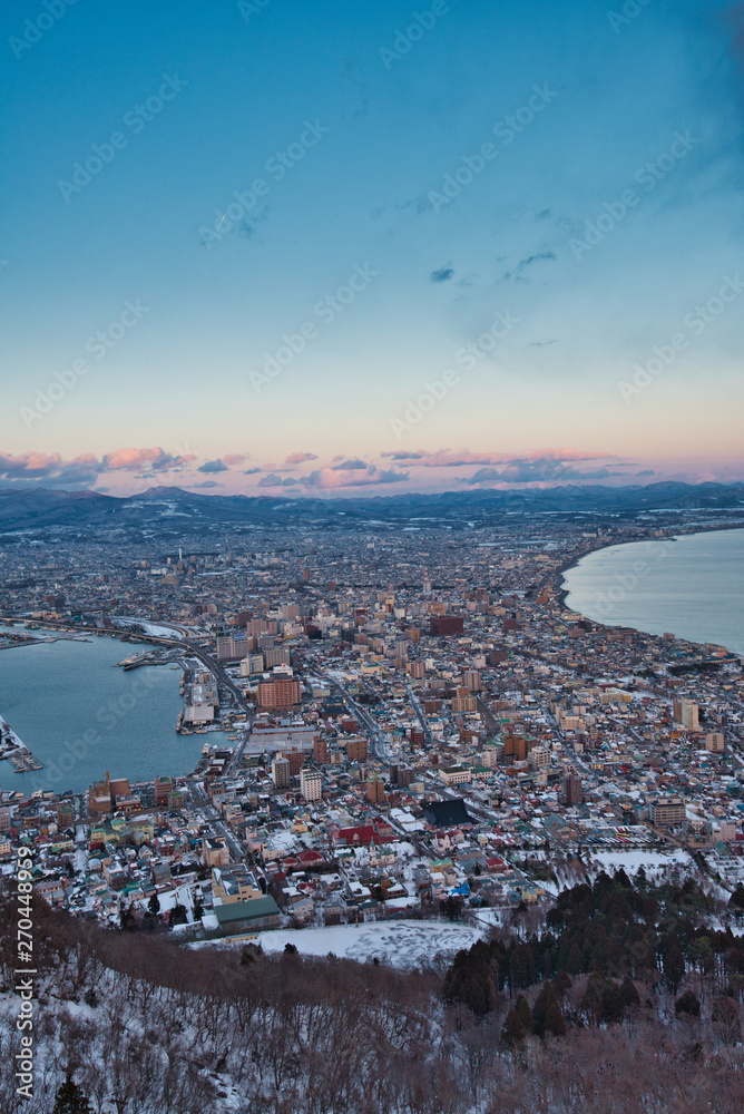 Obraz premium Cityscape view from Mt. Hakodate Ropeway
