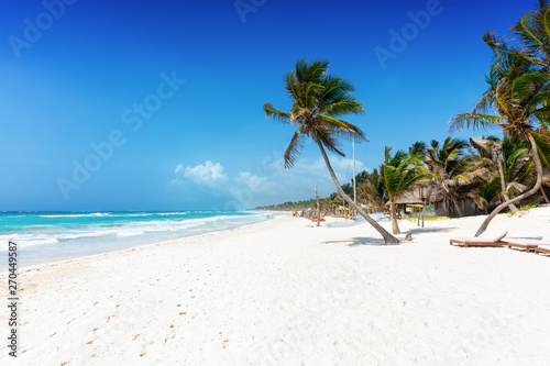 Palmen am karibischen Strand von Tulum  Riviera Maya  Mexiko