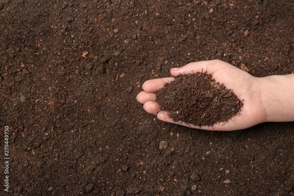 Woman holding pile of soil above ground, top view. Space for text Woman holding pile of soil above ground, top view. Space for text
