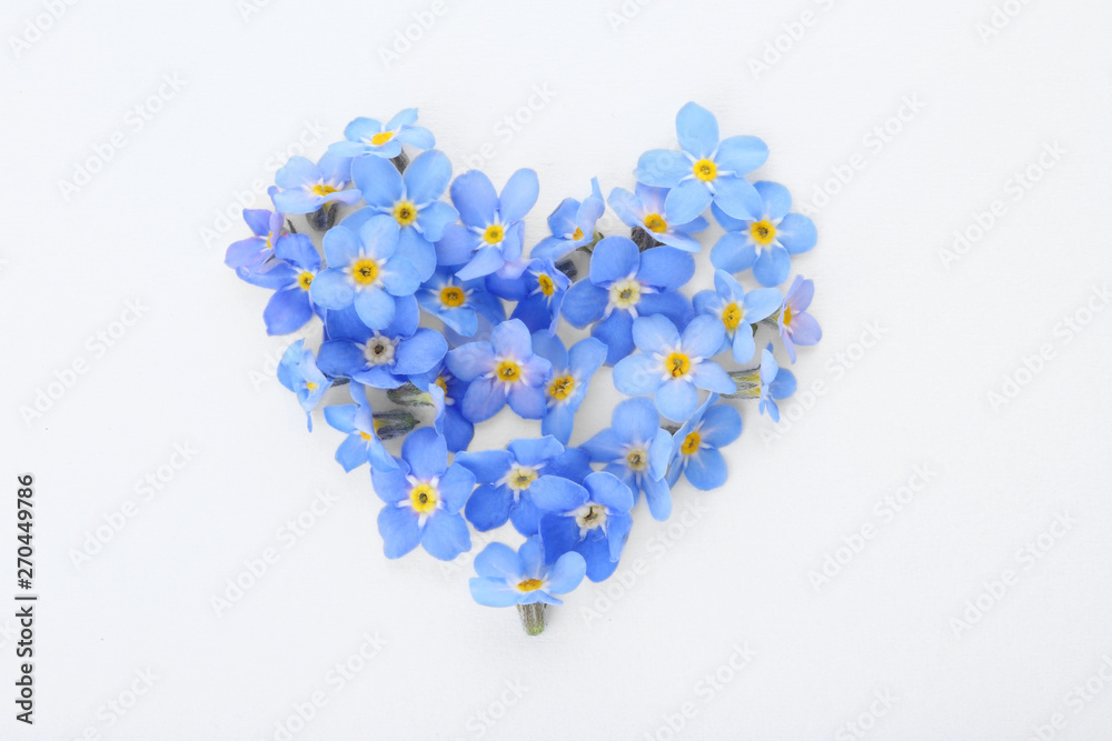 forget me not flowers heart