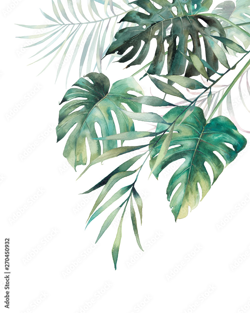 Watercolor tropical leaves poster. Hand painted exotic monstera and palm green branches composition on white background. Summer plants illustration - obrazy, fototapety, plakaty 