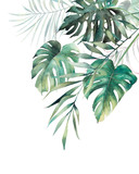 Watercolor tropical leaves poster. Hand painted exotic monstera and palm green branches composition on white background. Summer plants illustration