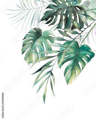 Tablou Canvas Watercolor tropical leaves poster