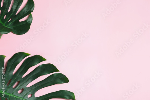 Green fresh monstera leaves on color background, flat lay with space for text. Tropical plant