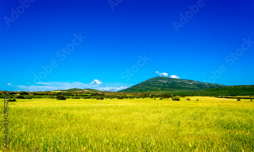 countryside landscape in a sunny day