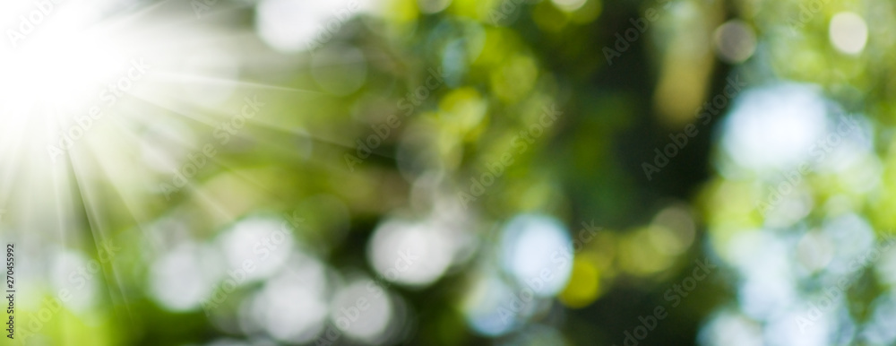 image of beautiful abstract natural background. image of beautiful abstract natural background.
