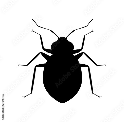 Bedbug black silhouette. Pest insect icon. Symbol of pets control service or bite spray.