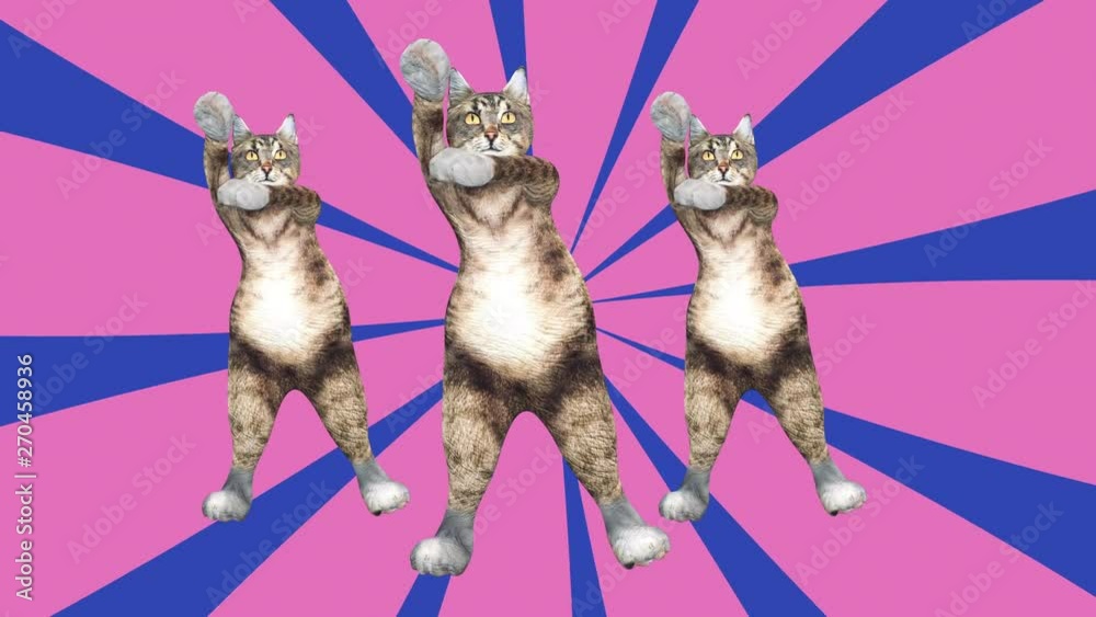 Comic tomcats waving paws and tail in an energetic clip summer mood. A cute brown pussycats dancing together in a modern style in tunnel colour space. Cool and the best moves in stylish of 80s and 90s