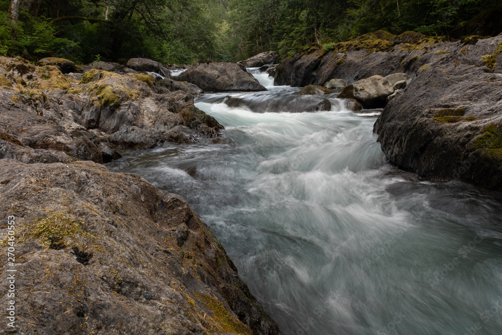 A fast flowing river runs over pebbles and rocks in Olympic National Park, Washington State, USA, long exposure to add blurred motion to the  water, nobody in the image