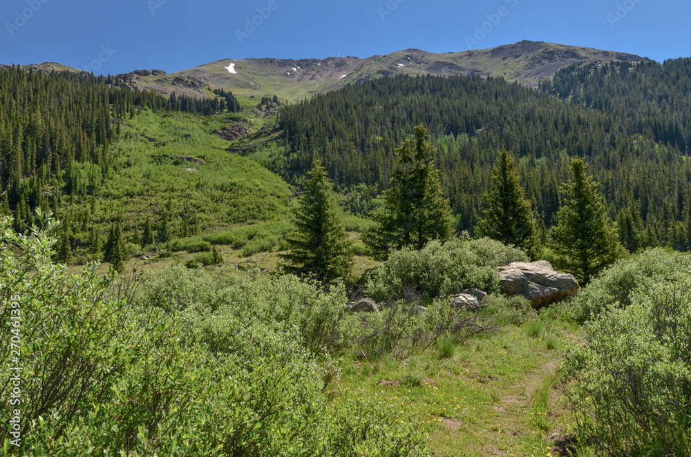 hiking trail in Lake Creek Valley on the slopes of Sawatch Range (Lake County, Colorado, USA)