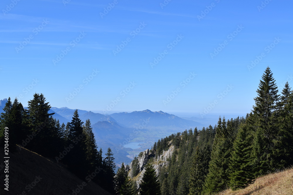 Obraz premium Picture