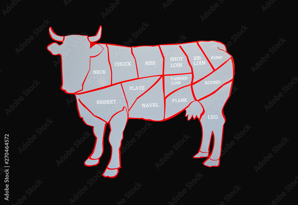 Cow and cut of beef or beef chart. Diagram of different parts of a cow, showing cuts of beef