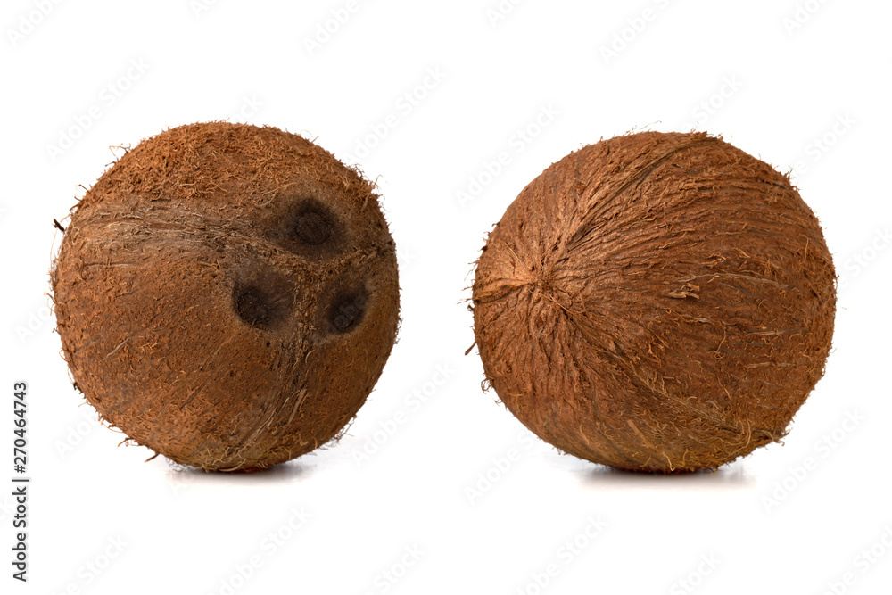 Coconuts on a white background. Two coconut close-up on a white background. Coconuts on a white background. Two coconut close-up on a white background.