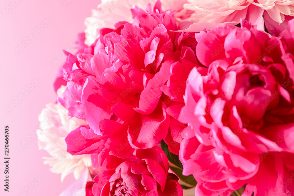 Bouquet of beautiful pink peonies against light background, space for text and closeup