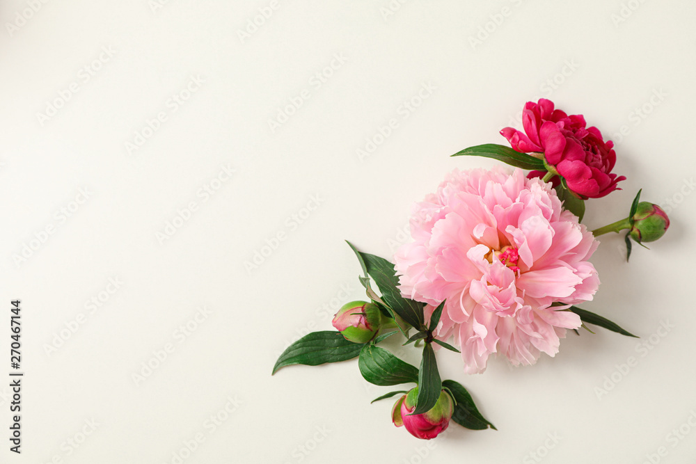 Flat lay composition with beautiful peonies on white background, space for text and top view Flat lay composition with beautiful peonies on white background, space for text and top view