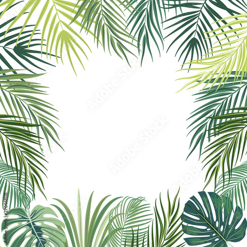 Vector tropical jungle frame with palm trees  flowers and leaves on white background