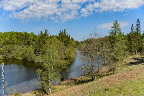 A rural scene with a lake, pine trees, and blue sky with clouds. It is Tarn Hows, in the English Lake District.