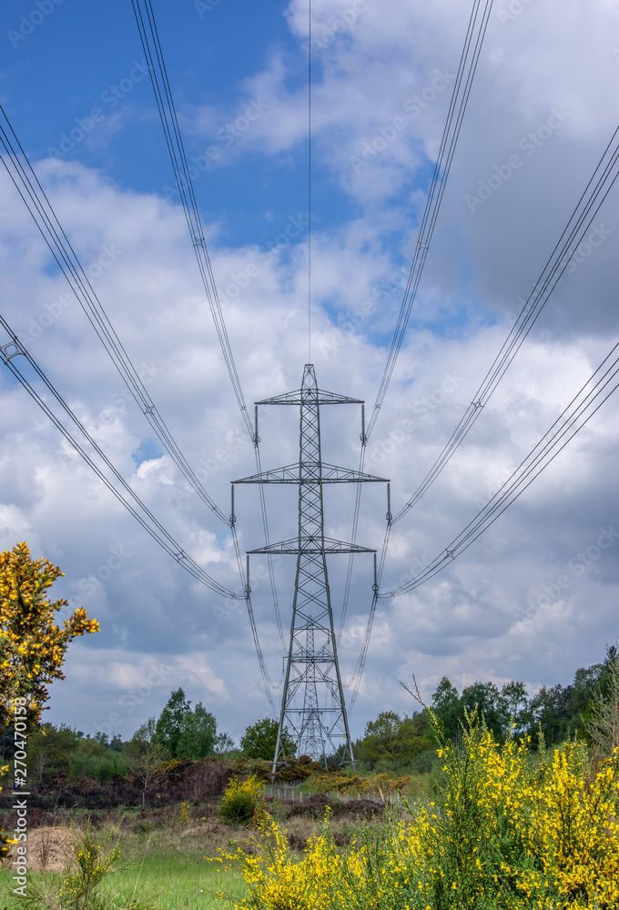Electricity pylon in East Yorkshire