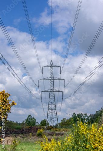 Electricity pylon in East Yorkshire