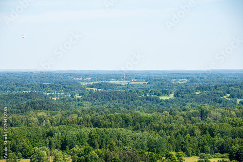 Fototapeta Naklejka Na Ścianę i Meble -  endless forests in summer dayat countryside from above