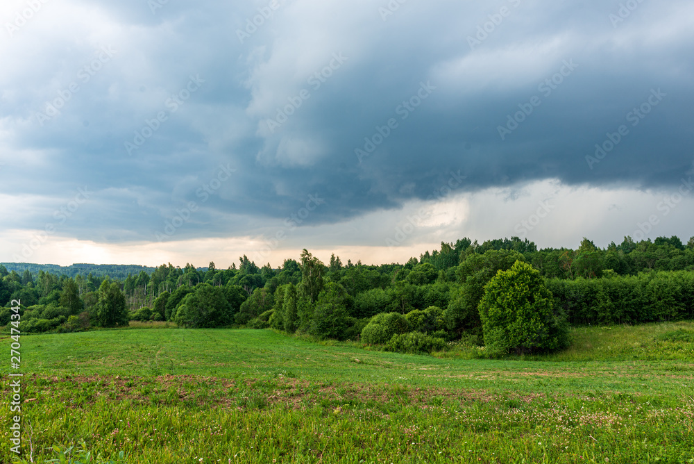 endless fields and forests with green trees under fog in countryside endless fields and forests with green trees under fog in countryside