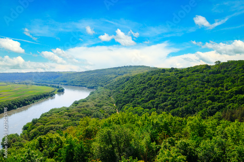 Beautiful natural landscape of the river and forest.