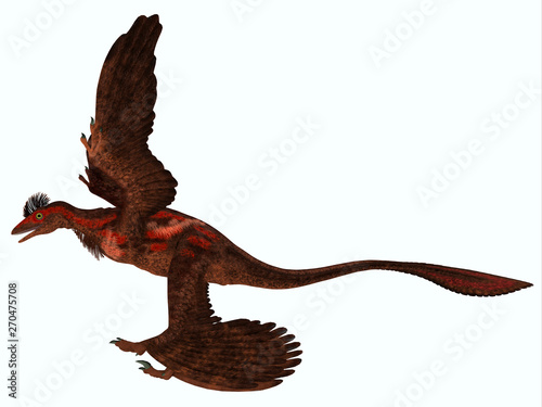 Microraptor Side Profile - Microraptor was a carnivorous flying reptile that lived in China and Mongolia during the Cretaceous Period.