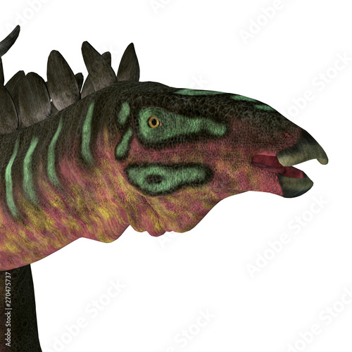 Miragaia Dinosaur Head - Miragaia was a armored stegosaurid sauropod dinosaur that lived in Portugal during the Jurassic Period. photo
