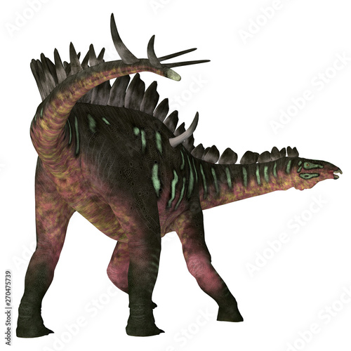 Fototapeta Naklejka Na Ścianę i Meble -  Miragaia Dinosaur Tail - Miragaia was a armored stegosaurid sauropod dinosaur that lived in Portugal during the Jurassic Period.