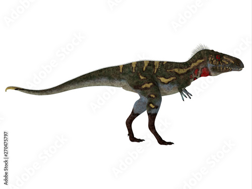 Nanotyrannus Dinosaur Side Profile - Nanotyrannus was a carnivorous theropod dinosaur that lived in North America during the Cretaceous Period. © Catmando