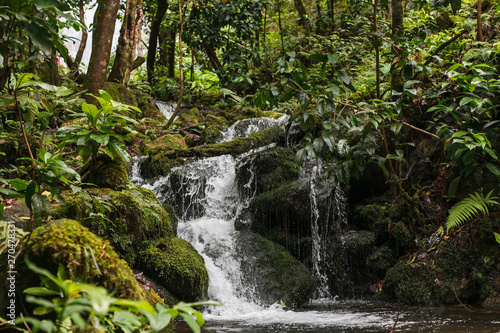 Small Waterfall In A Jungle