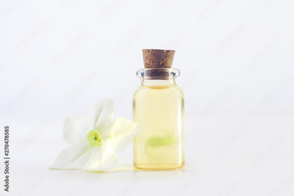 winged tobacco essential oil in beautiful bottle on White background winged tobacco essential oil in beautiful bottle on White background