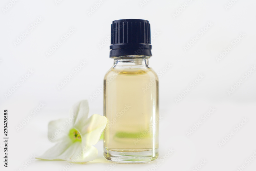 winged tobacco essential oil in beautiful bottle on White background winged tobacco essential oil in beautiful bottle on White background
