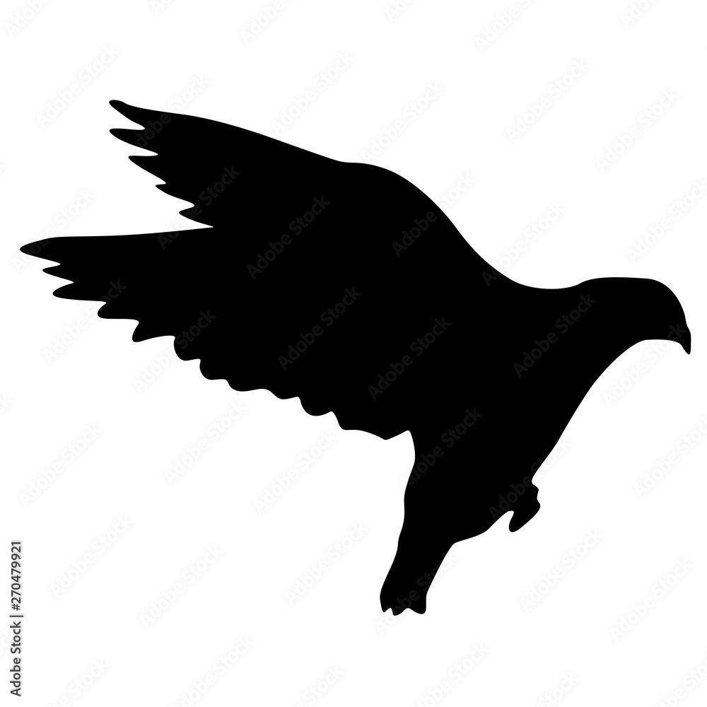 Fototapeta premium Concept of love or peace silhouettes doves